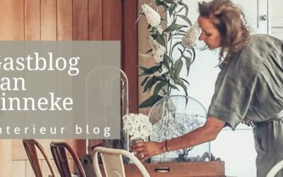 Gastblog: Inrichting en tips van Tinneke