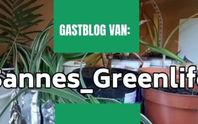 Gastblog Sanne’s plantenbieb in Veendam