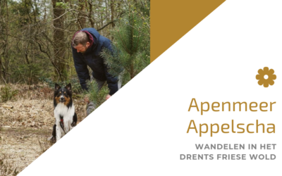 Apemeer – Oude Willem / Appelscha